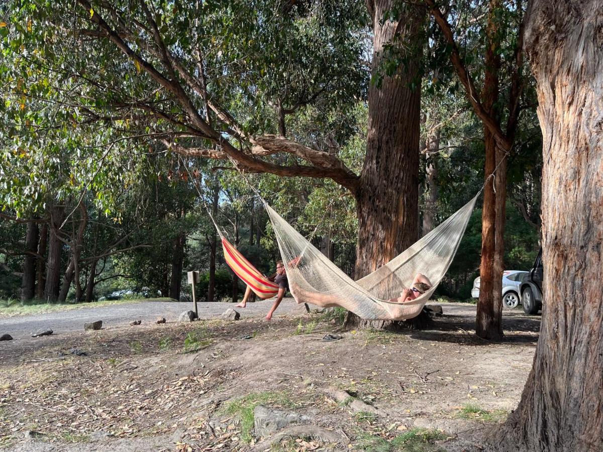 מלון ניו נורפולק Base Camp Tasmania מראה חיצוני תמונה